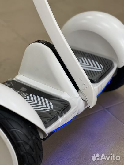 Сигвей новый