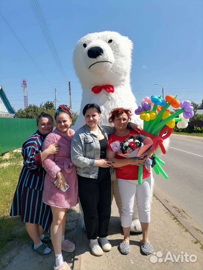 Аниматоры на день рождения мишка