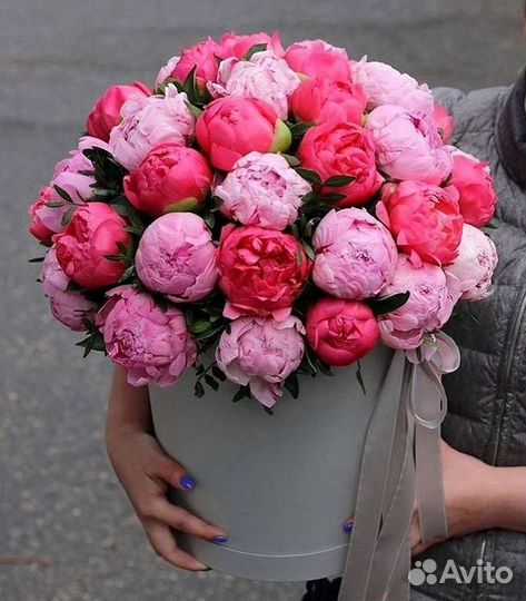 Пионы Букет пионов