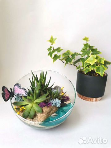 Флорариум в скошенной форме D - 16см