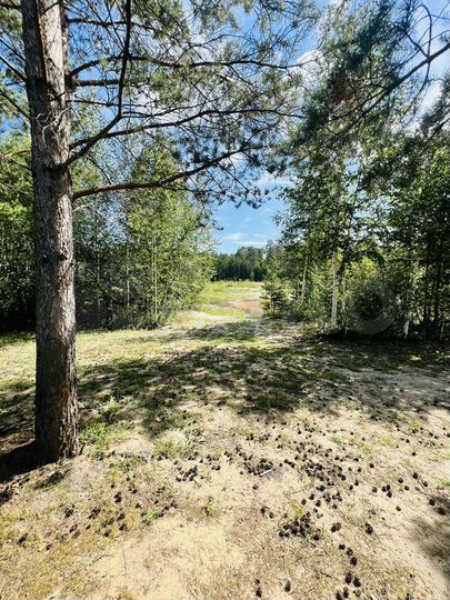 Дом 40 м² на участке 9 сот.