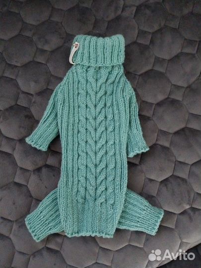 Одежда для животных