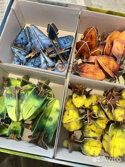 Фотосинтез игра настольная