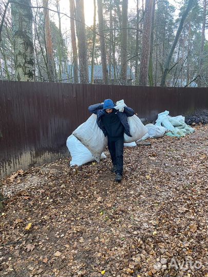 Вывоз мусора