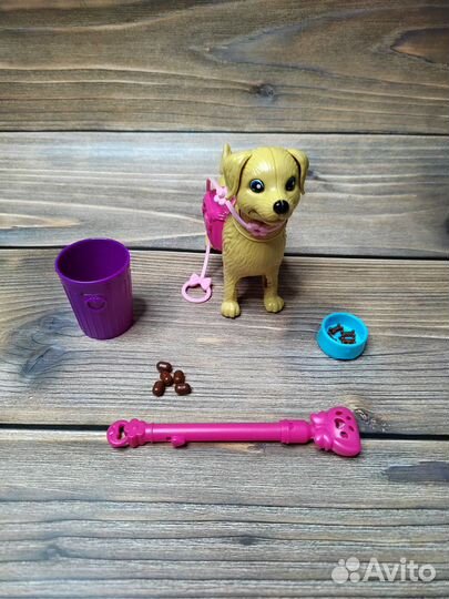 Набор Demi star, на прогулку с питомцем