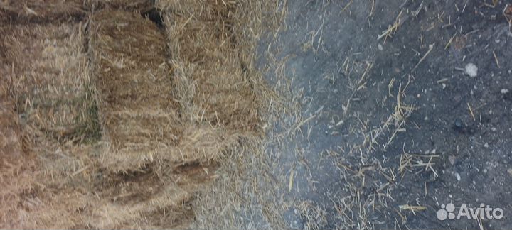 Кипы из соломы.(пшеничная,ржаная,овсяная)