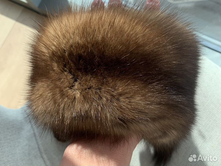 Соболь баргузин