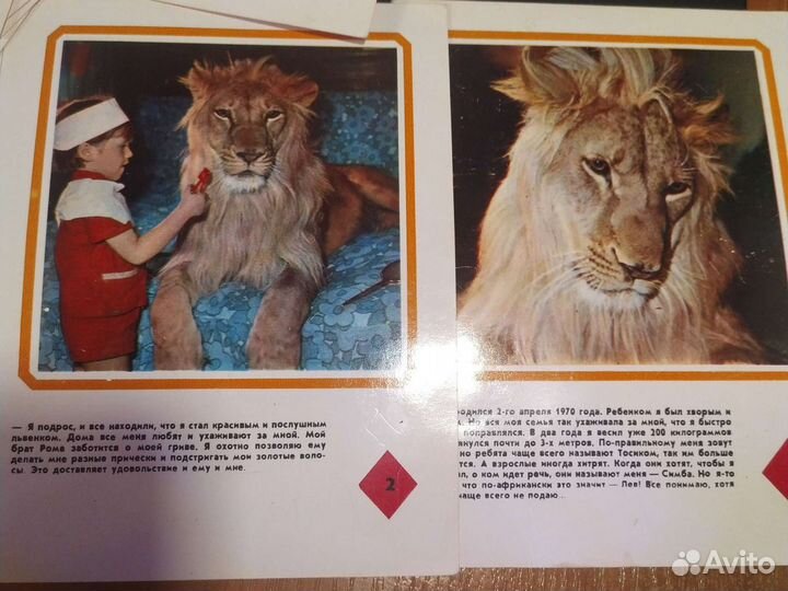 Набор открыток В гостях у Берберовых