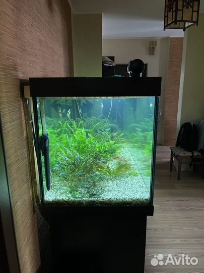 Аквариум 1000л с тумбой и атоматикой
