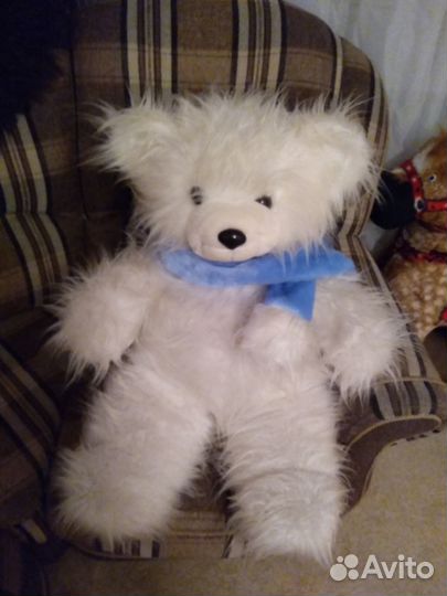 Мишка медведь белый