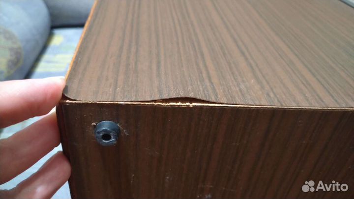 Колонки Вега 35 ас-105-1