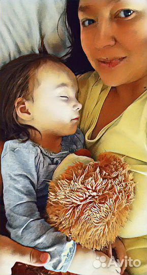 Няня на часы или весь день