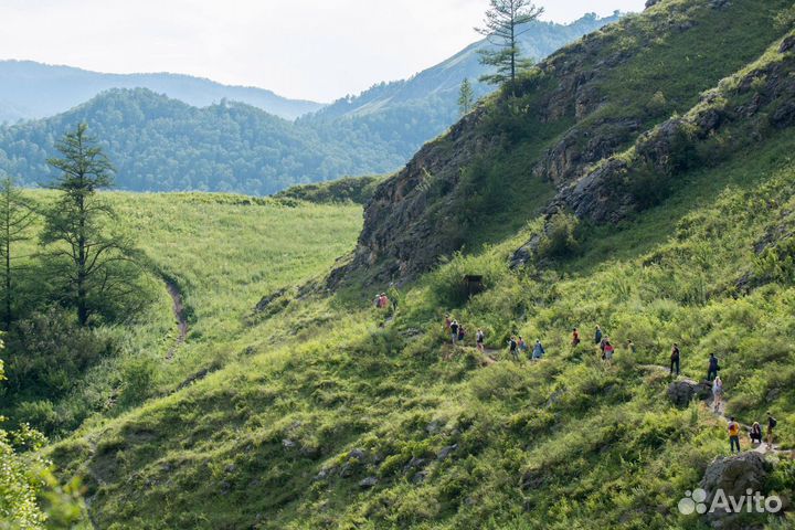 Алтайская кругосветка (автобусный тур)