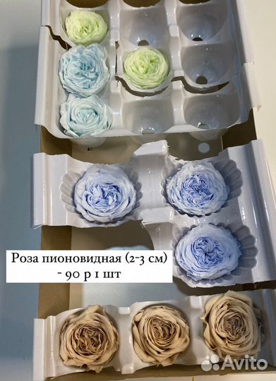 Стабилизированные цветы