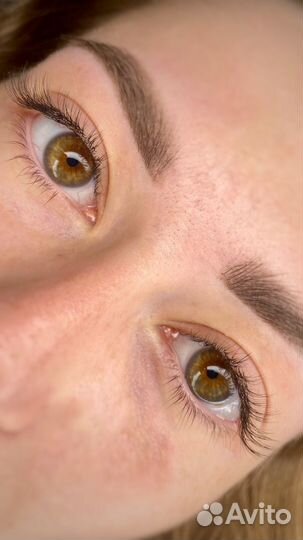 Бровист Лэшмейкер