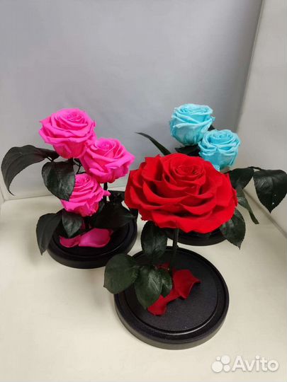 Подарок на новый год / Роза в колбе