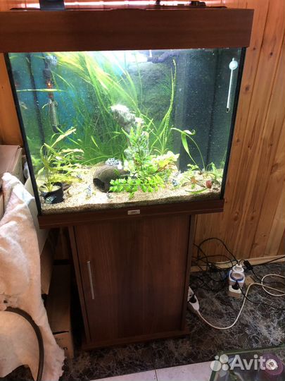 Аквариум Juwel Rio 125, 450