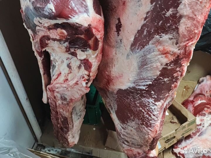 Мясо баранина и говядина халяль