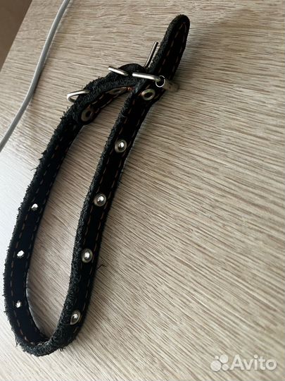 Ошейник для собак