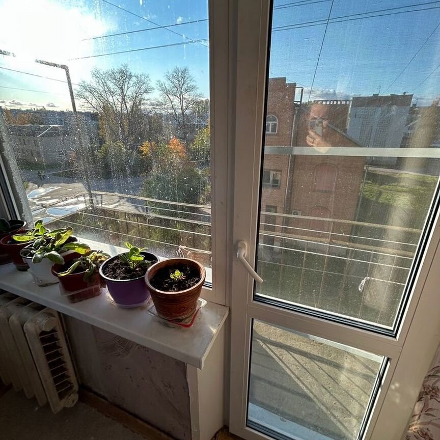 Квартира 2-комн. 38 м² в Пыталово — фото 13 из 13