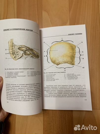Атлас анатомии человека