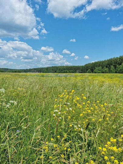 Участок 1,7 га (ИЖС)