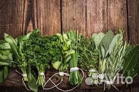 Фасовщица на укроп/петрушку