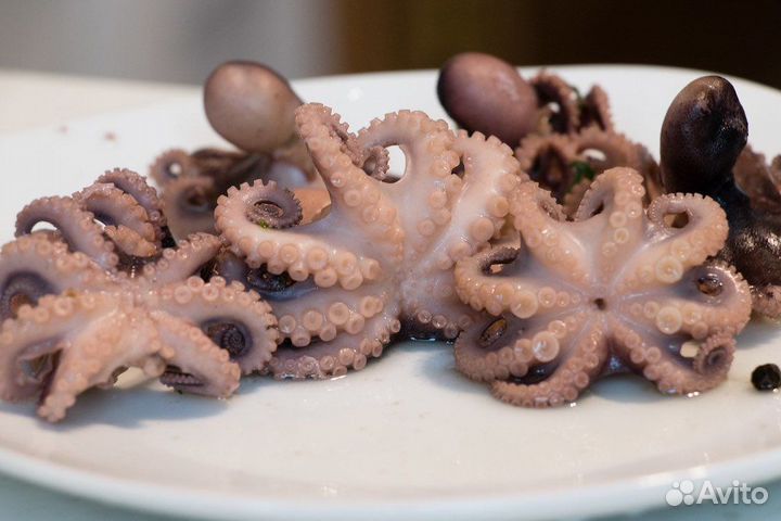 Осьминог молодой. Вьетнам