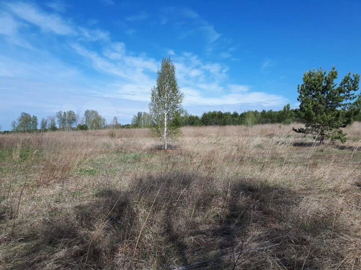 Участок 4 га (СНТ, ДНП)