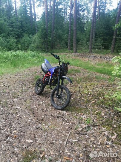 Питбайк Irbis ttr 125