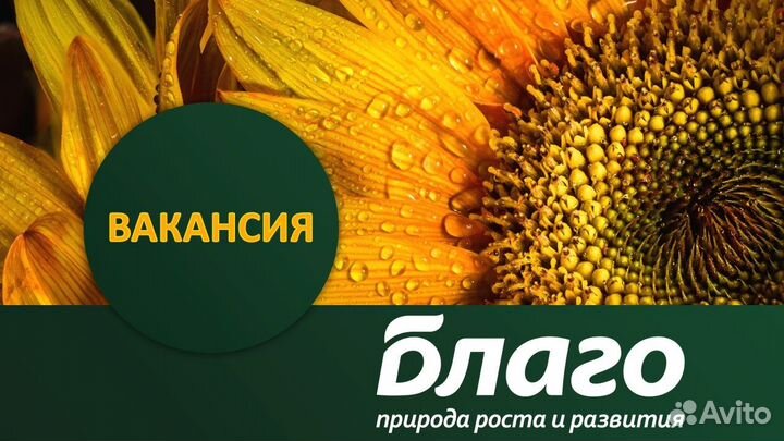 Оператор котельной