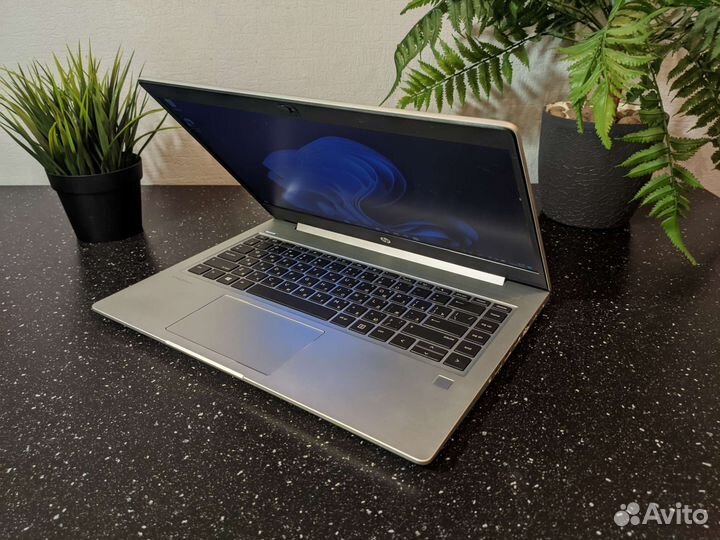 8-ядер HP Probook 445R g6 Ryzen 5/SSD/FHD IPS