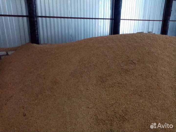 Зерно: ячмень и пшеница