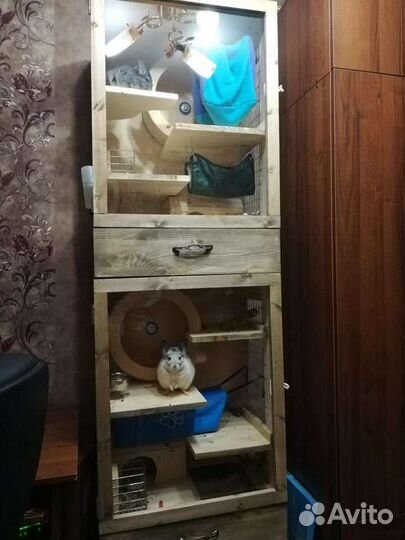Витрина для шиншиллы, морской свинки и других