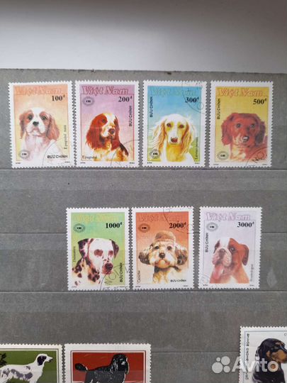 Марки Собаки и Кошки. Цена за все марки