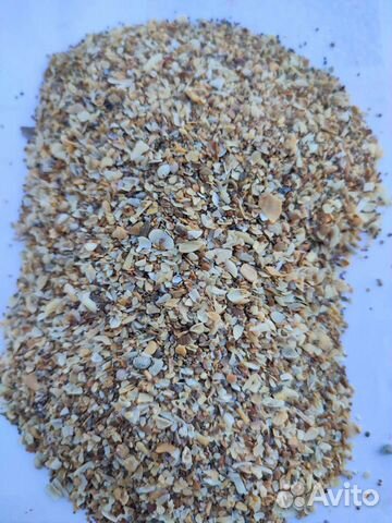 Ракушка кормовая каспийская