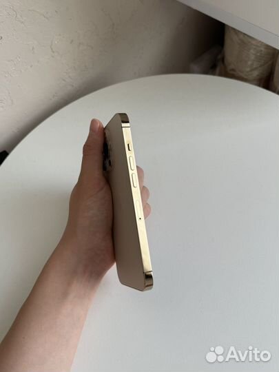 iPhone 13 Pro, 256 ГБ