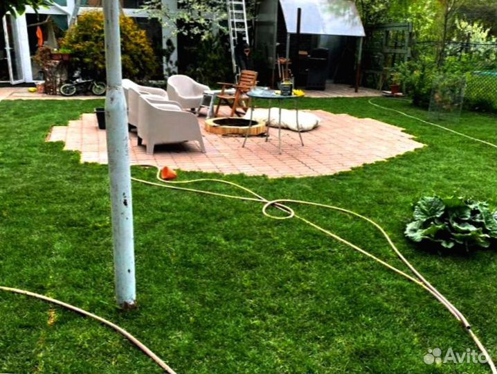 Рулонный газон