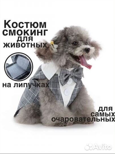 Костюм для собак