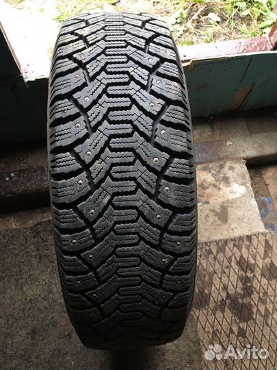 Cordiant Polar 195/65 R15