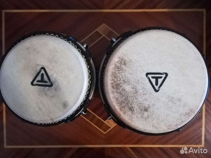 Бонго Tycoon STB-B BK