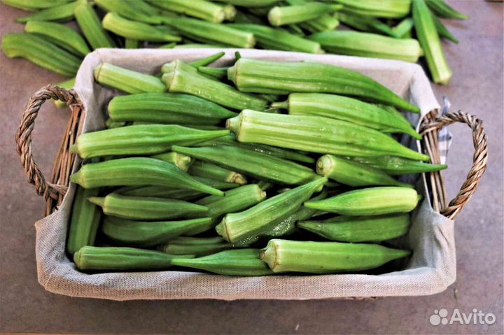 Семена бамии, 30 шт. (окра, гибискус съедобный)