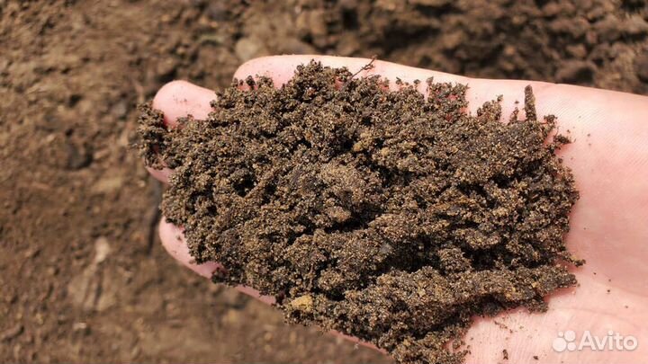 Земля газонная