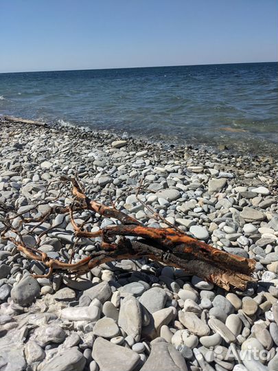 Коряги для интерьера