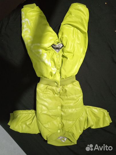 Одежда для собак