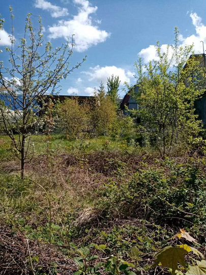 Участок 3,5 сот. (ИЖС)