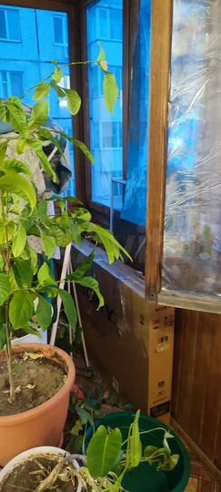 4-к. квартира, 77,6 м², 8/10 эт.