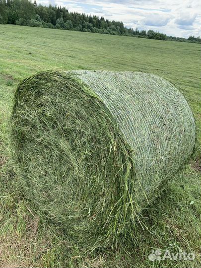 Сено в рулонах