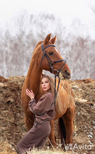 Конные прогулки/обучение верховой езде