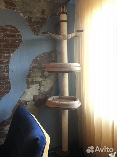 Когтеточка